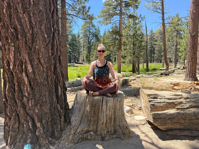 Liz meditating cross-legged on a tree stump in a sunny pine forest